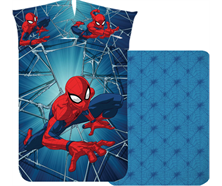 Disney Spiderman Net Bettwäsche 65/100 + 160/210 - bunt