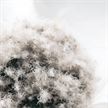 Duvet EIDERDAUNE medium - Ganzjahresduvet - Gr. 160 x 210 cm | Bild 3
