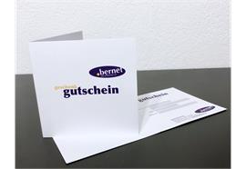 Gutschein - Fr. 100.--