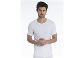 Herren T-Shirt - L