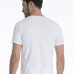 Herren T-Shirt, O-neck - XL | Bild 2